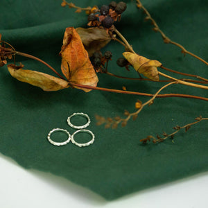 scattered seed rings on green background with dried flora
